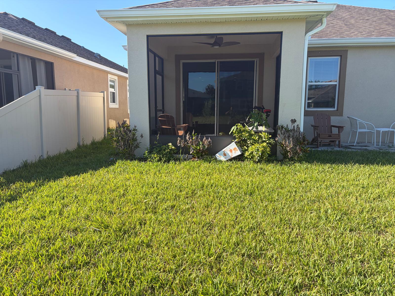 Healthy green Florida lawn after fertilization treatment