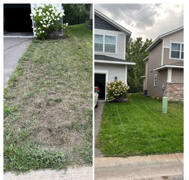 Valrico front yard before and after new sod installation and irrigation tune-up