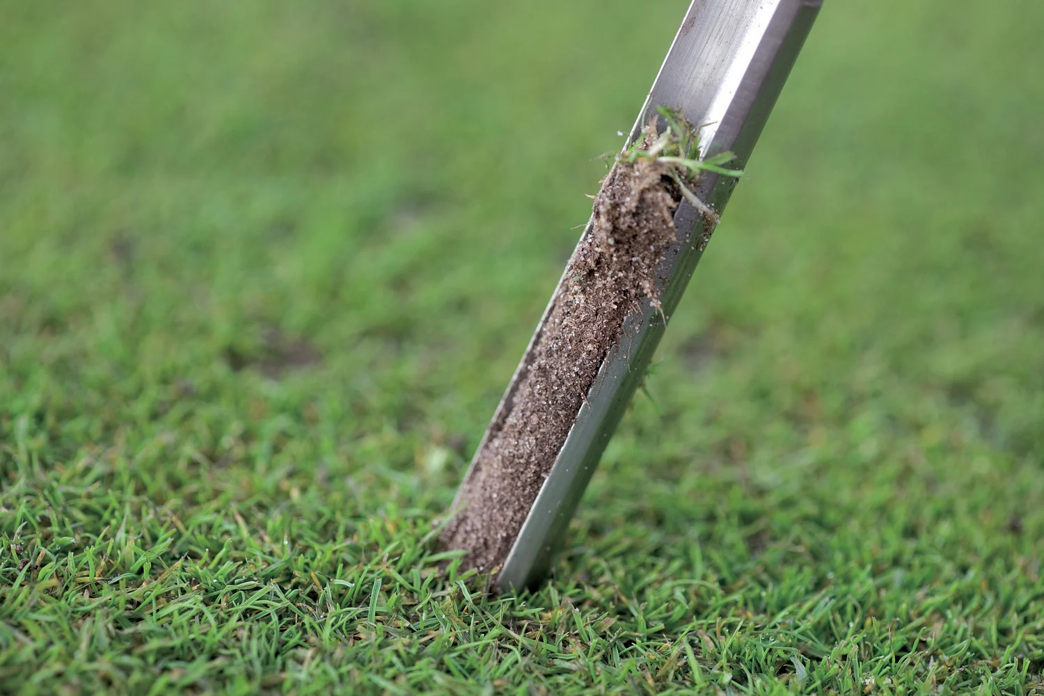 Tim holding a soil sample plug pulled from a Florida turf lawn